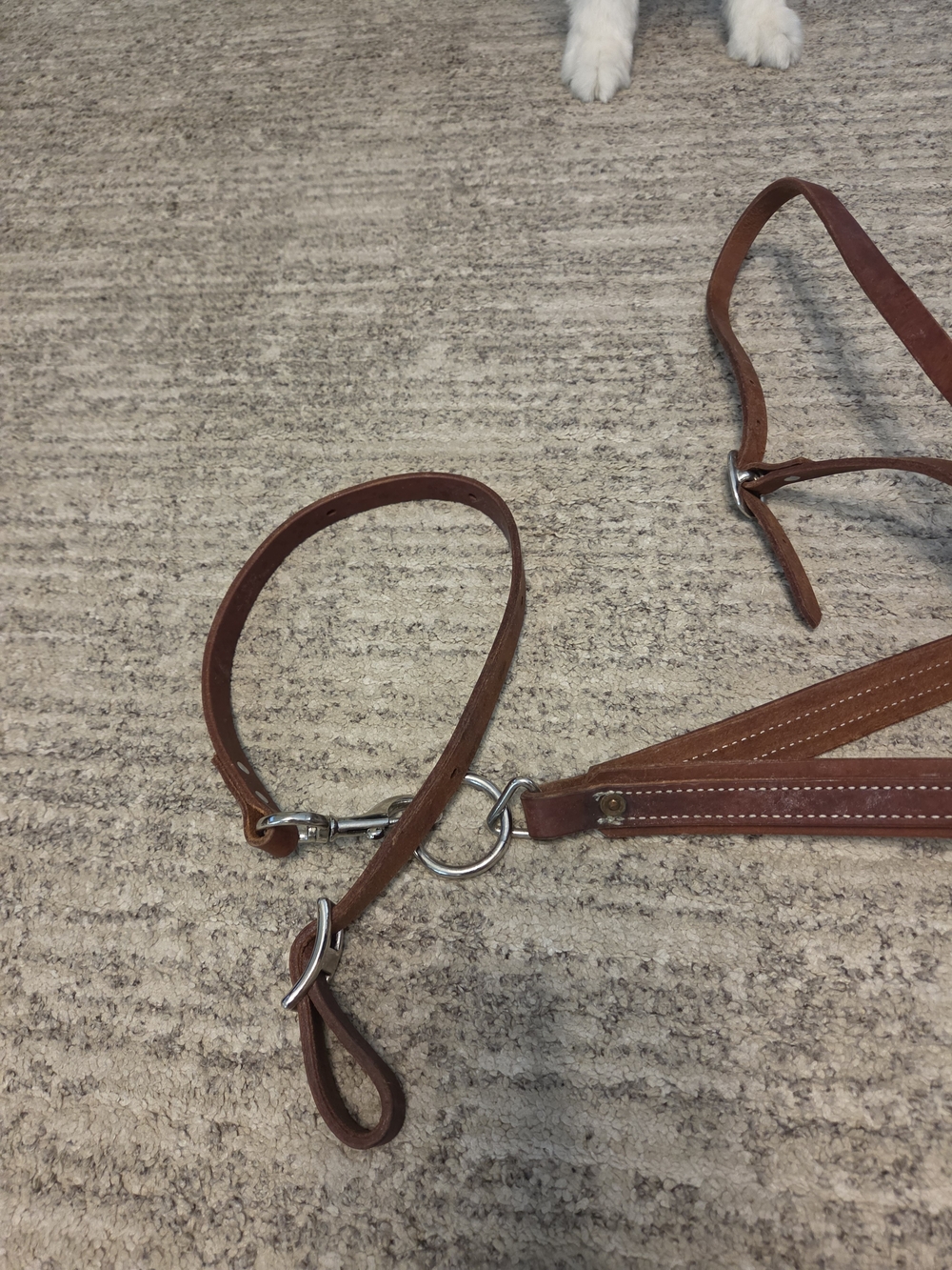 Leather Tie Down - Picture 2 of 2